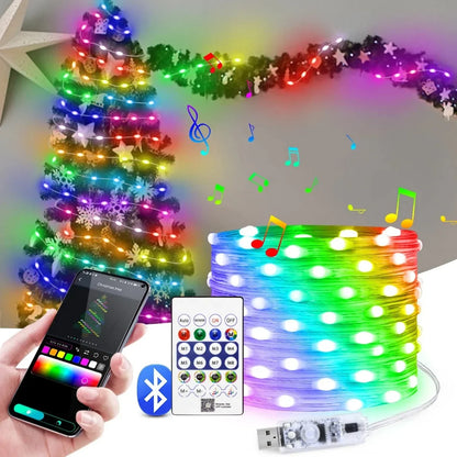 Bluetooth RGB USB String Lights
